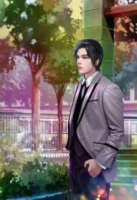 一婚二宝:帝少宠妻无节制